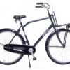 AMIGO Forest 28 Inch 58 Cm Men Coaster Brake Anthracite