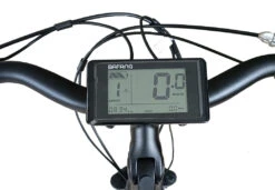 Avalon E-Max 28 Inch Women 7SP Roller Brakes Black/Matte Green -Optimal Bike Store avalon e max 28 inch 49 cm dames 7v rollerbrake zwart matgroen 3 1018852 20230329142928