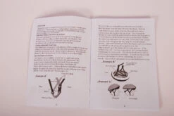 Volare Bicycle Helmet Disney Minnie Bow-Tique 52-56 Cm Pink -Optimal Bike Store disney fietshelm minnie bow tique 52 56 cm roze 10 1016405 1658393492