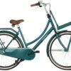 Popal Daily Dutch Basic+ 28 Inch Women 3SP Coaster Brake Forest Green -Optimal Bike Store popal daily dutch basic 28 inch 53 cm dames 3v terugtraprem bosgroen 1018440 20230309161141