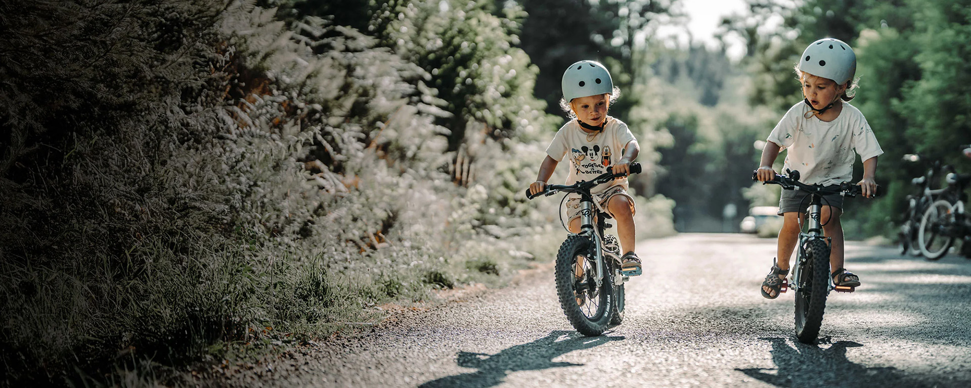 Optimal Bike Store -Optimal Bike Store 3